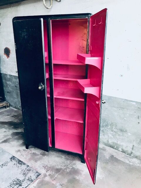 Fuchsia interior workshop cabinet