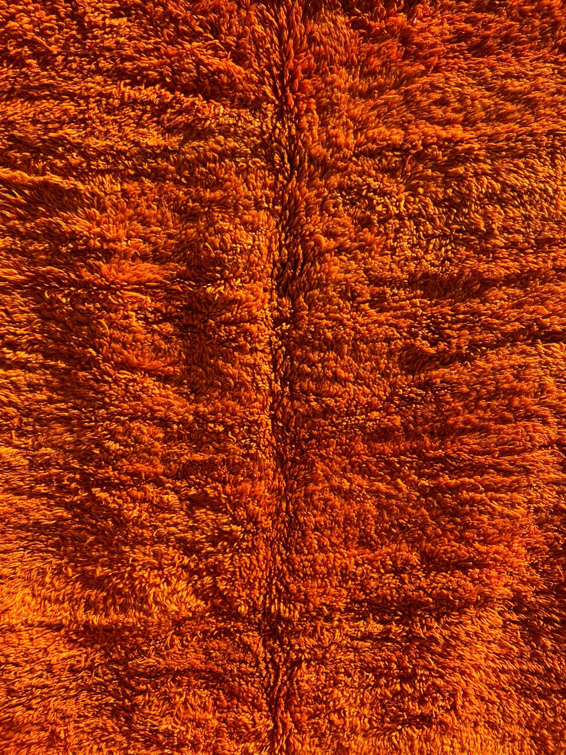 Orange Grove Rug 200x300cm