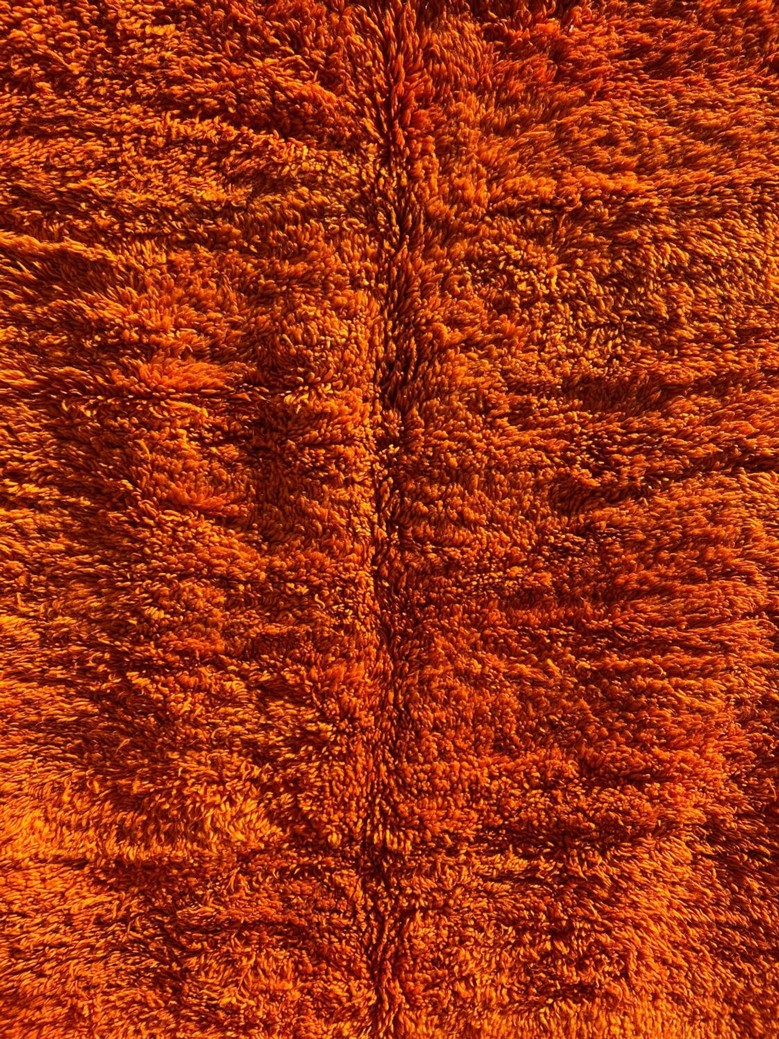 Orange Grove Rug 200x300cm