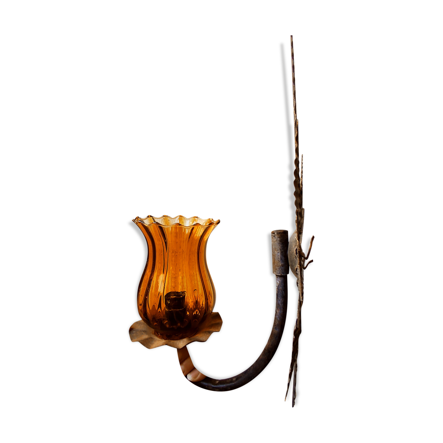 Raw metal wall lamp, Murano tulip