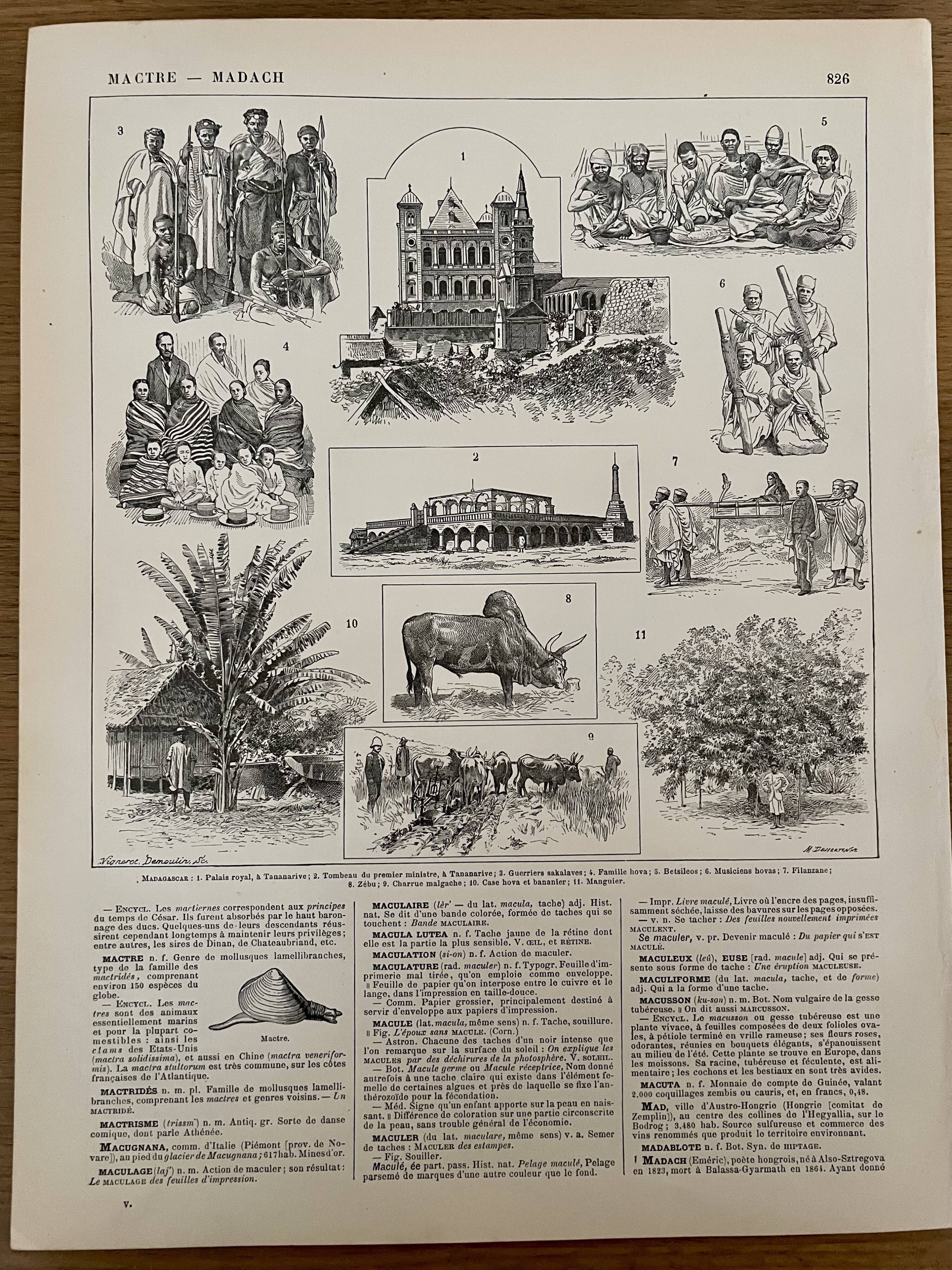 Lithograph and map on Madagascar from 1897
