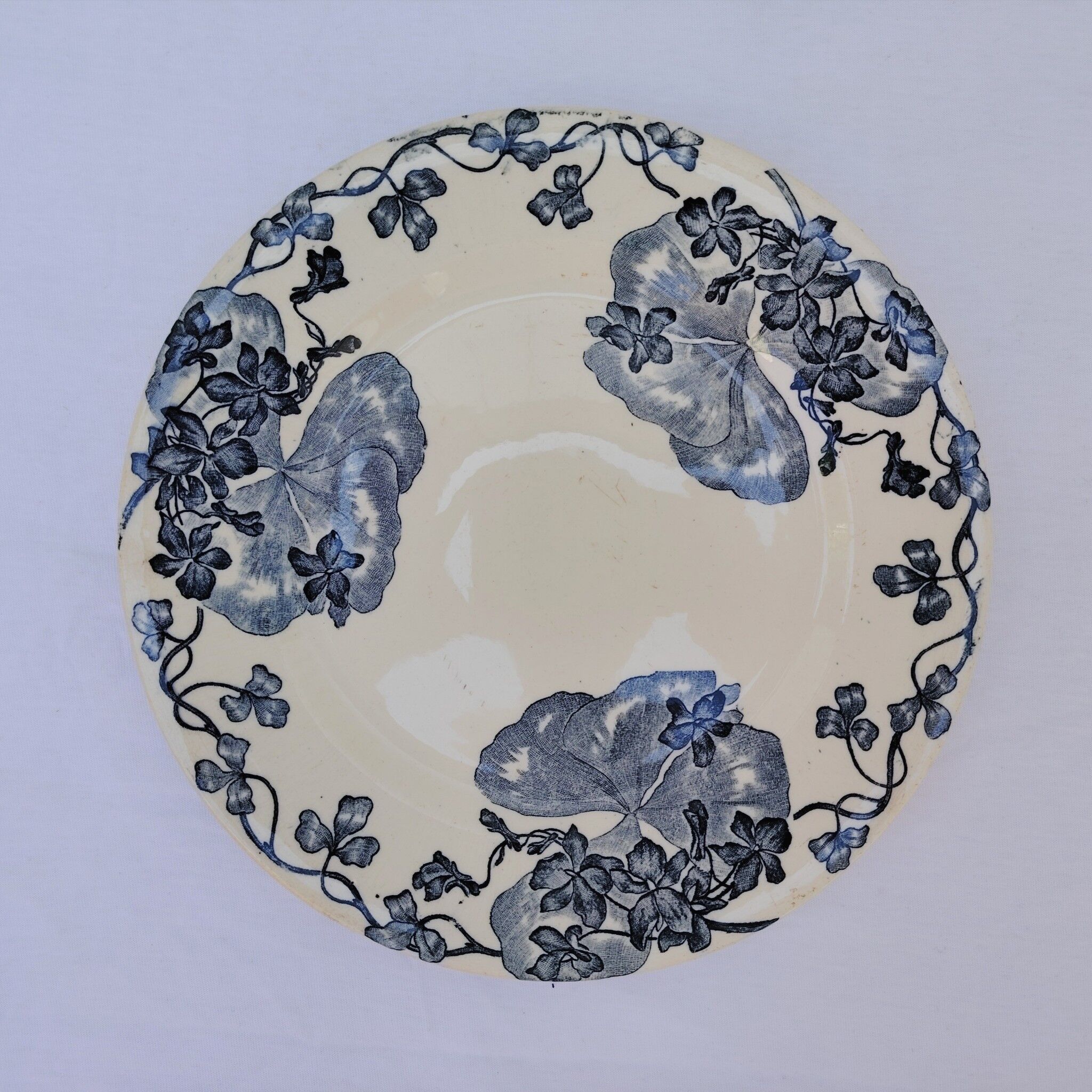 Plates, the salt shakers model the violets, ironstone.