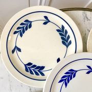 set of 5 dessert plates in Terre de Fer Salins model Jenny early 20th century