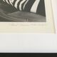 Chanel - Photo de Karl Lagerfeld - collection 1996 / 1997
