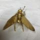 Golden brass fly 1970