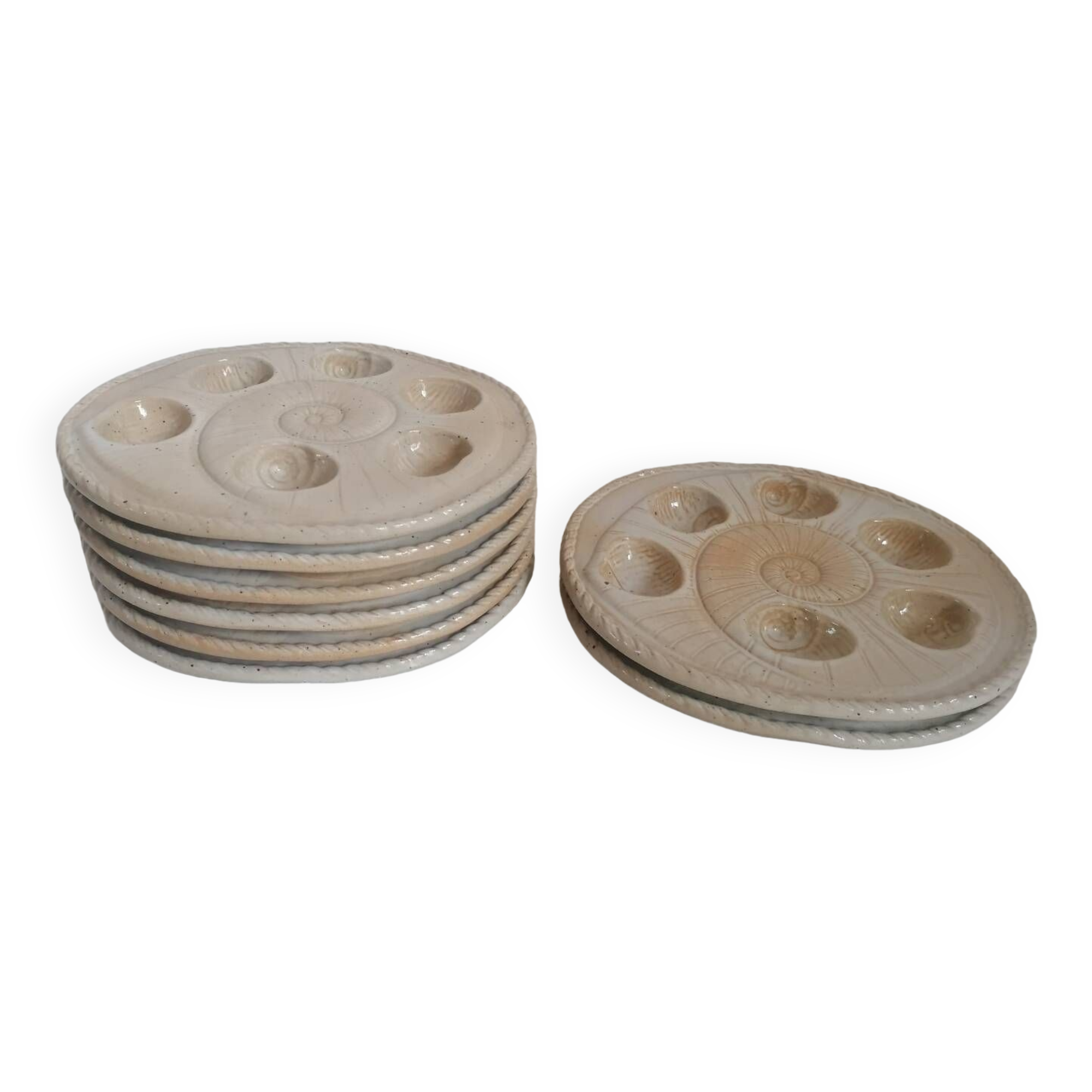 8 snail plates sandstone from the marsh France