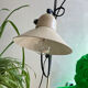 Aluminor Floor Lamp