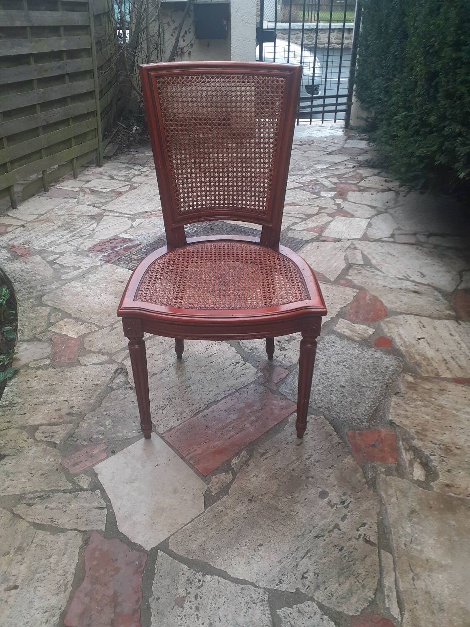 Chaise Cannes en bois sculpté style Louis XVI