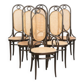 6 chaises vintage Thonet modèle Long John avec dossier haut
