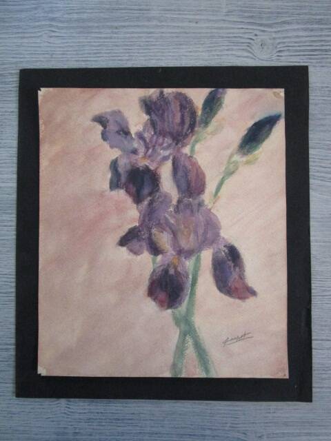 Old watercolor - iris