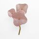 Pair of pearly pink Murano glass and brass wall lights