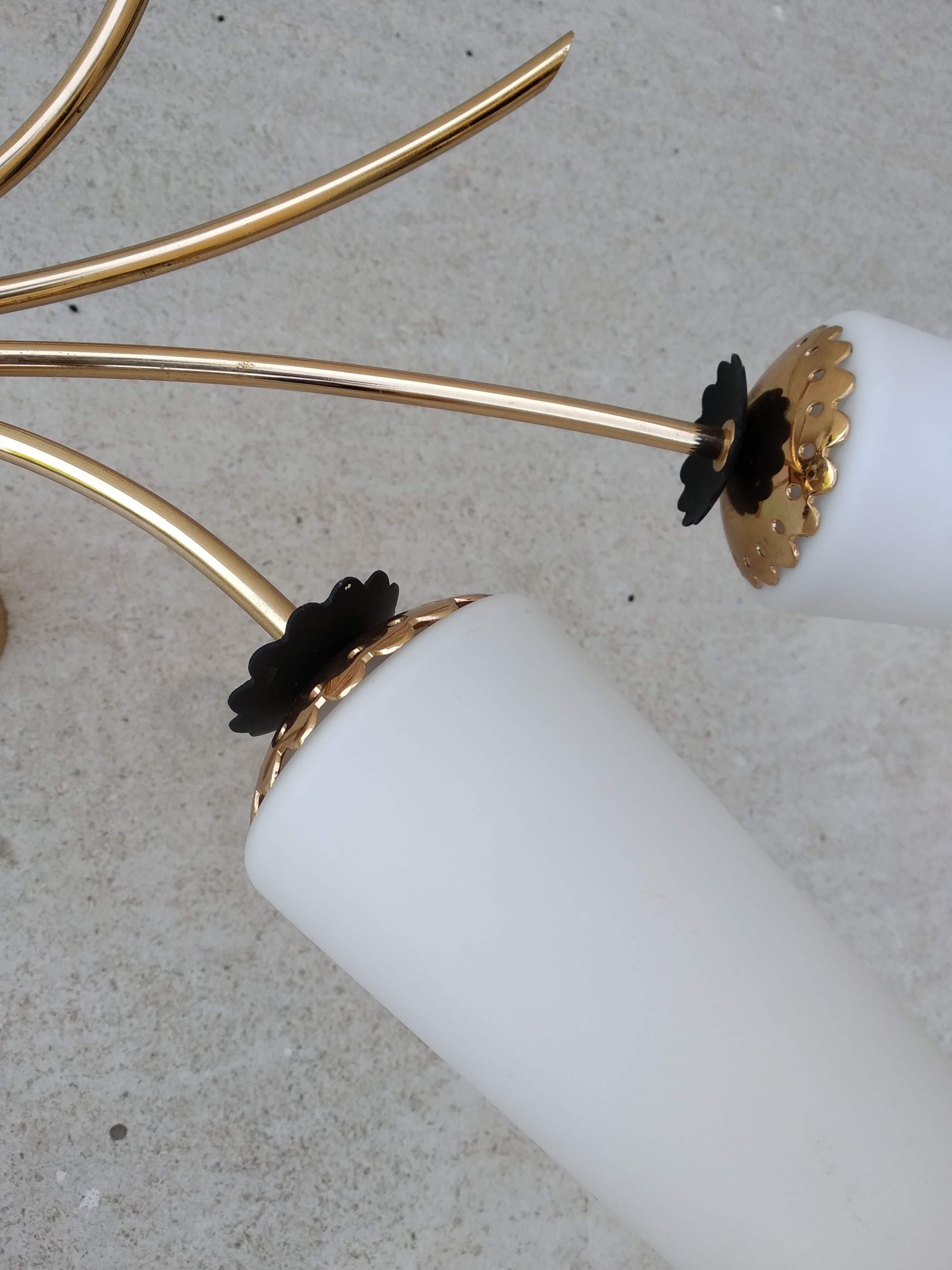 Chandelier supension gilded brass and glass years 50-60