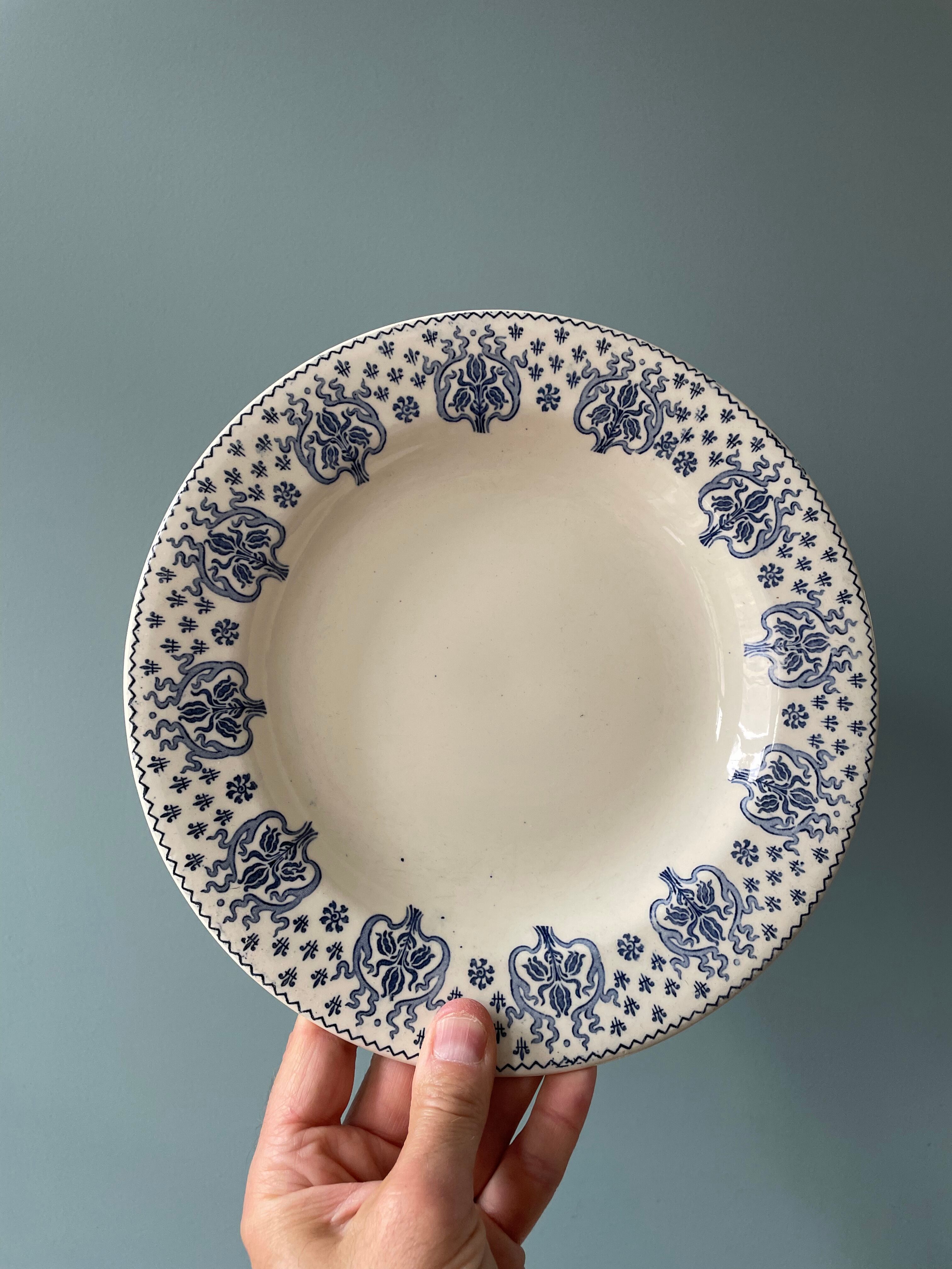 Set of 5 hollow plates Terre de Fer R&A Salins, model Palmes