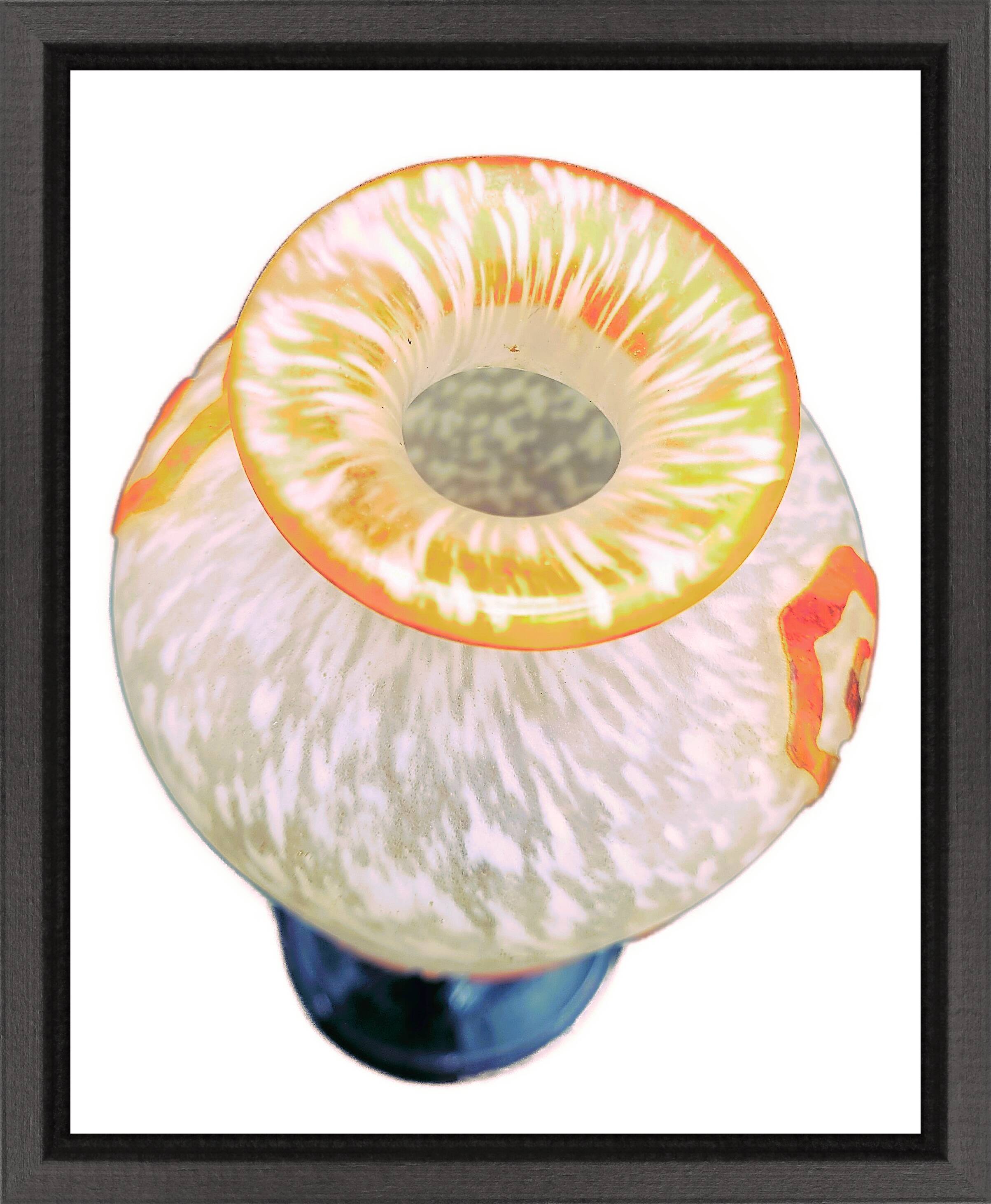 Superb Art Deco vase "Les fougères" by Charles Schneider (1881-1953)