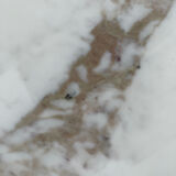 Coffee table Florence Knoll