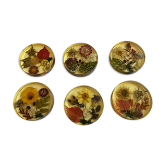 Lot 6 under vintage glass inclusion dried flowers