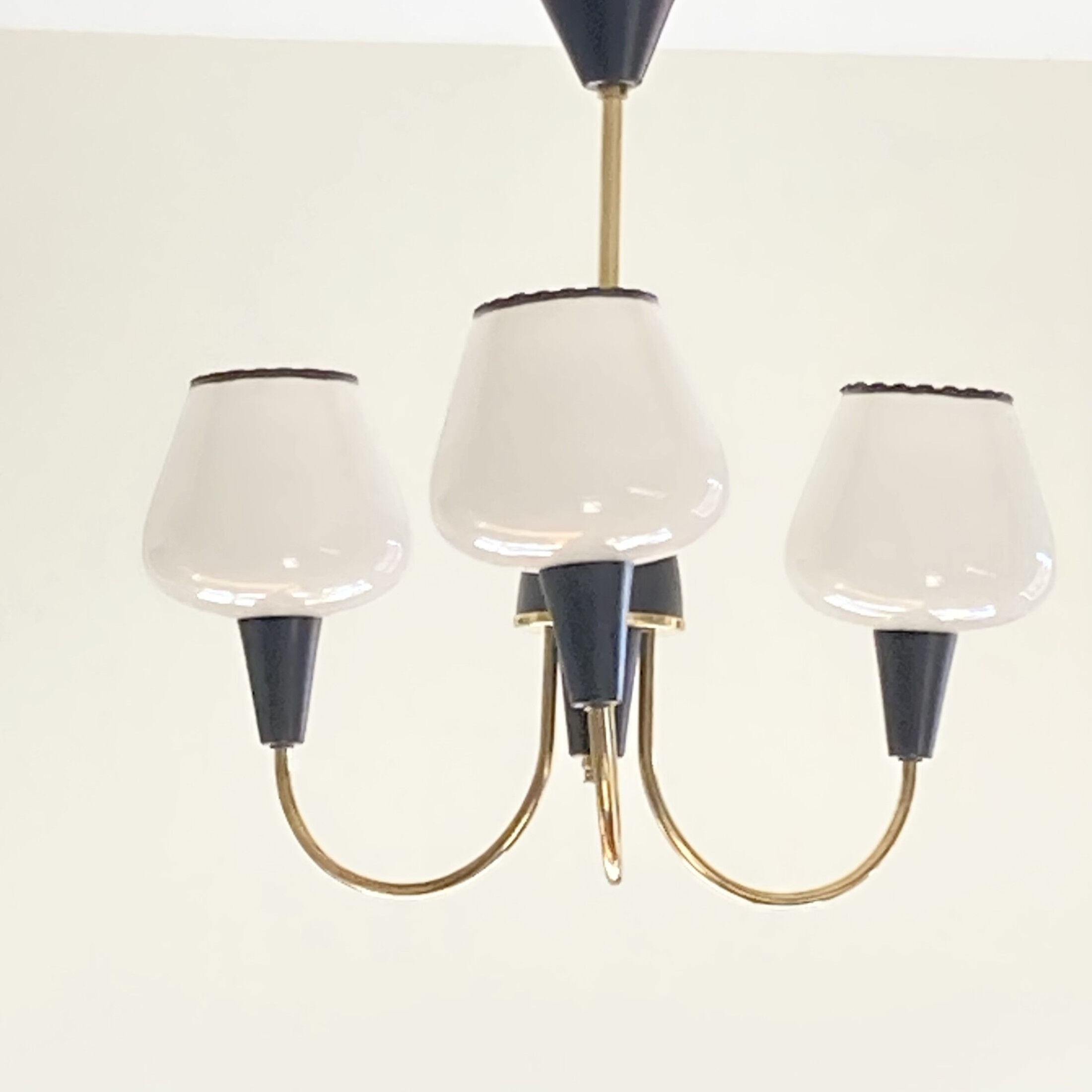 Brass chandelier and black metal tulips in white opaline glass 1950 1960 vintage suspension