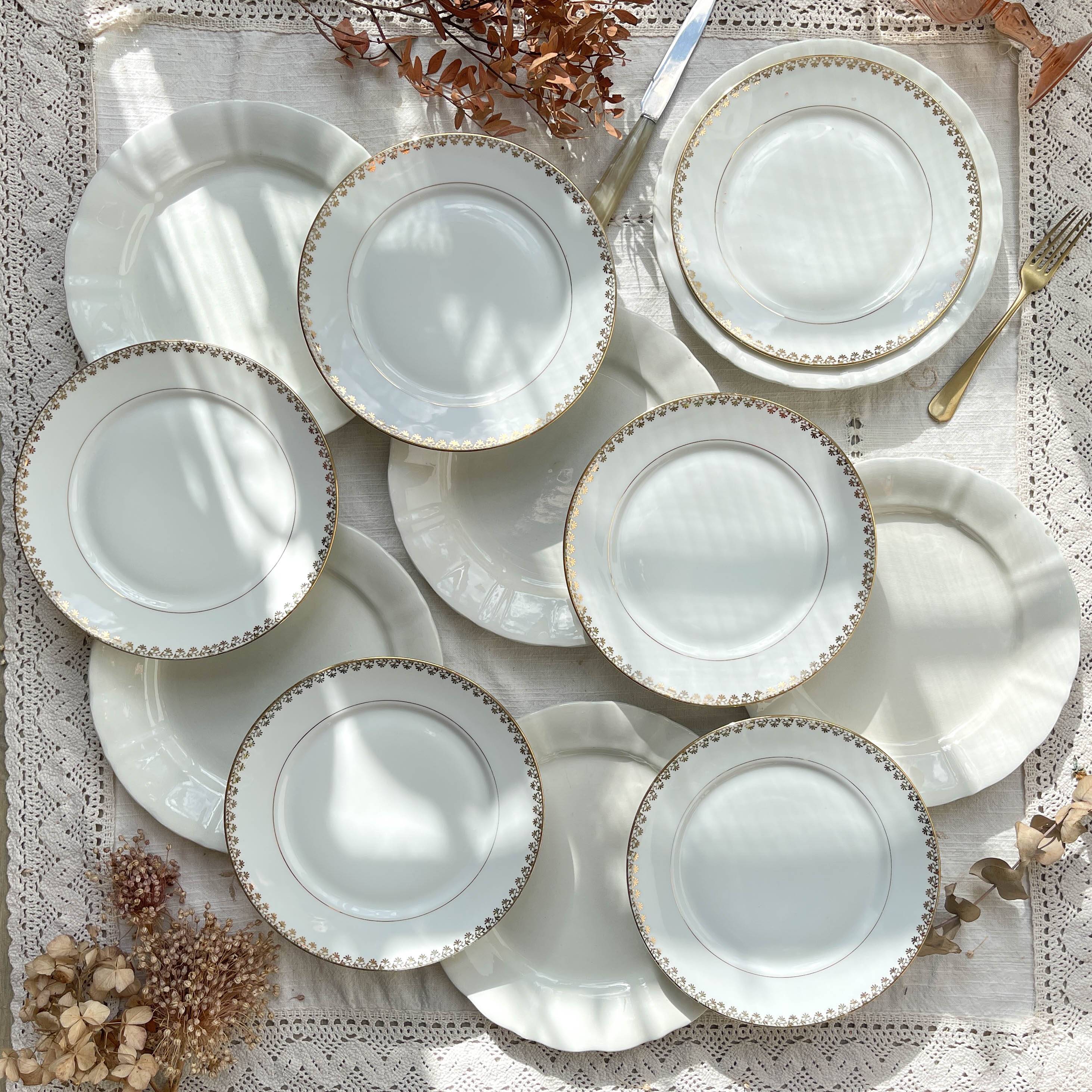 12 Vintage Terre de Fer White Plates + Small Gold White Porcelain Plates LIMOGES
