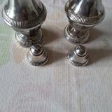 Salt and pepper silver-plated metal