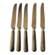 Set of 5 antique knives with wooden handles