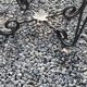 Coffee table end of sofa of the 50s mirror tray base wrought iron