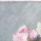 Painting oil on canvas bouquet of flowers signed b. rabel