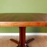 Table Baumann extensible