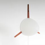 C-1575 teak and opaline glass wall lamp by Eje Ahlgren for Raak 1957