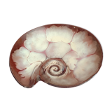 Vintage dish in the shape of a snail.