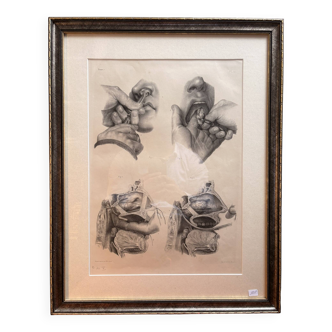 Old Engraving Nose Nasal Cavity NICOLAS HENRI Jacob Bourgery Medical Anatomy