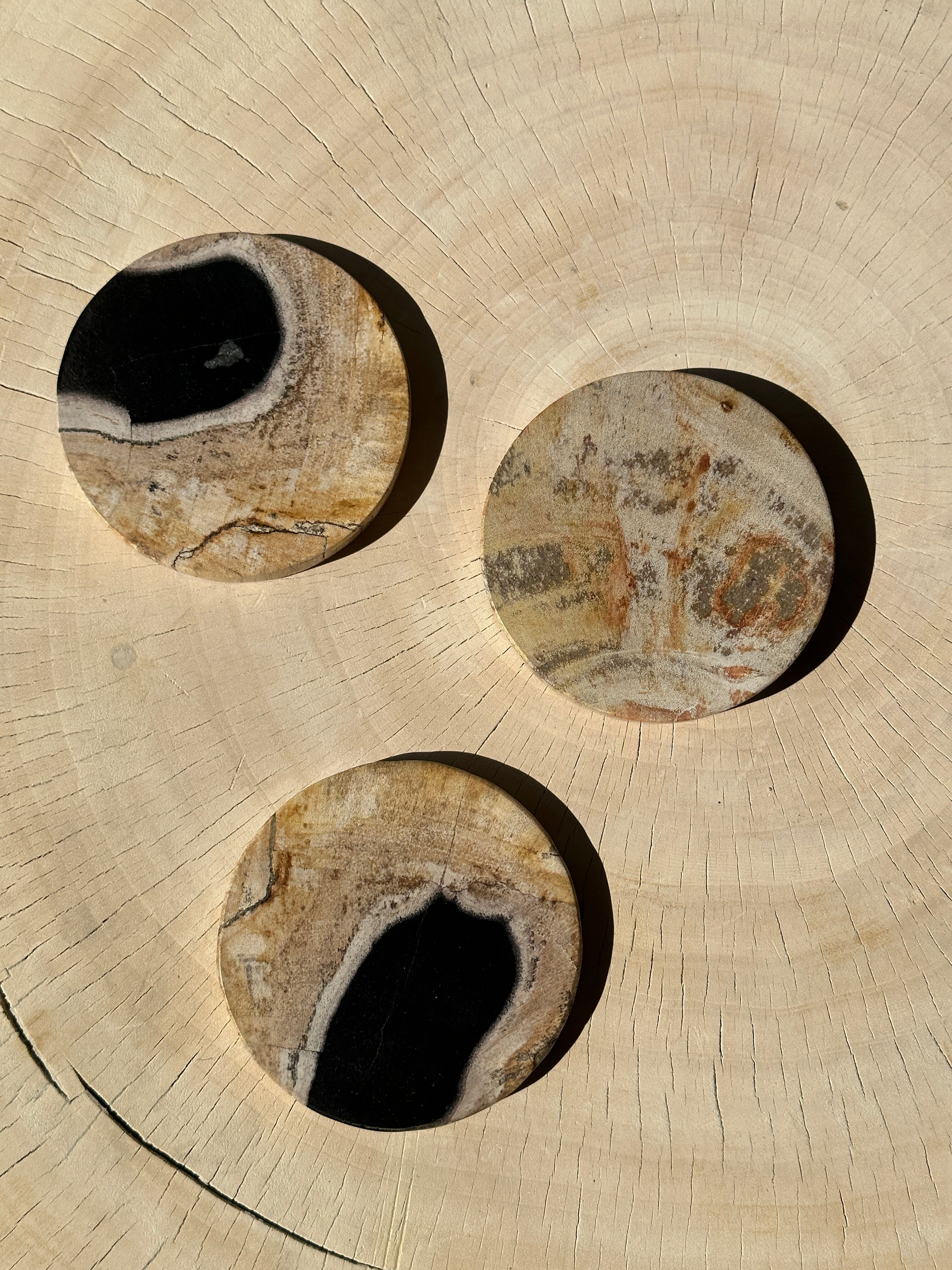 Set of 3 fossilized wooden coasters (clear)