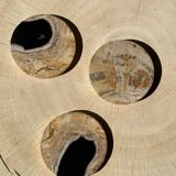 Set of 3 fossilized wooden coasters (clear)