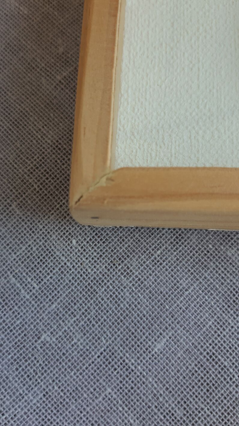 silver blue butterfly frame cabinet of curiosity framing taxidermy