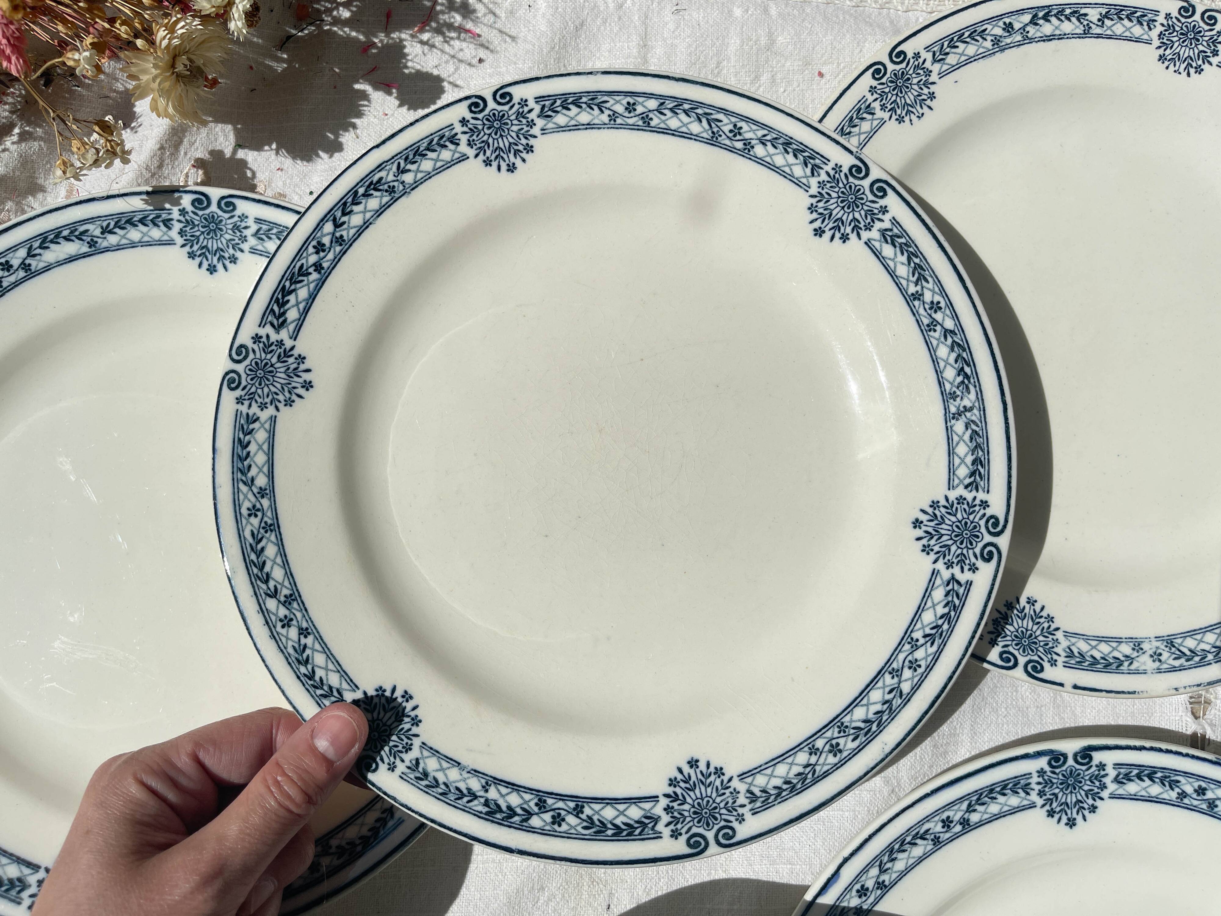 6 Flat plates Terre de fer bleu Salins model Arbois Ennege