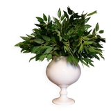 Cracked cream ceramic leech cup