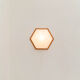 Anthroposophical wall lamp by Rudolf Dörfler