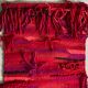 Large vintage wall hanging / wall decoration tapestry