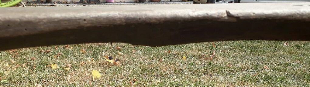 Oak farm bench