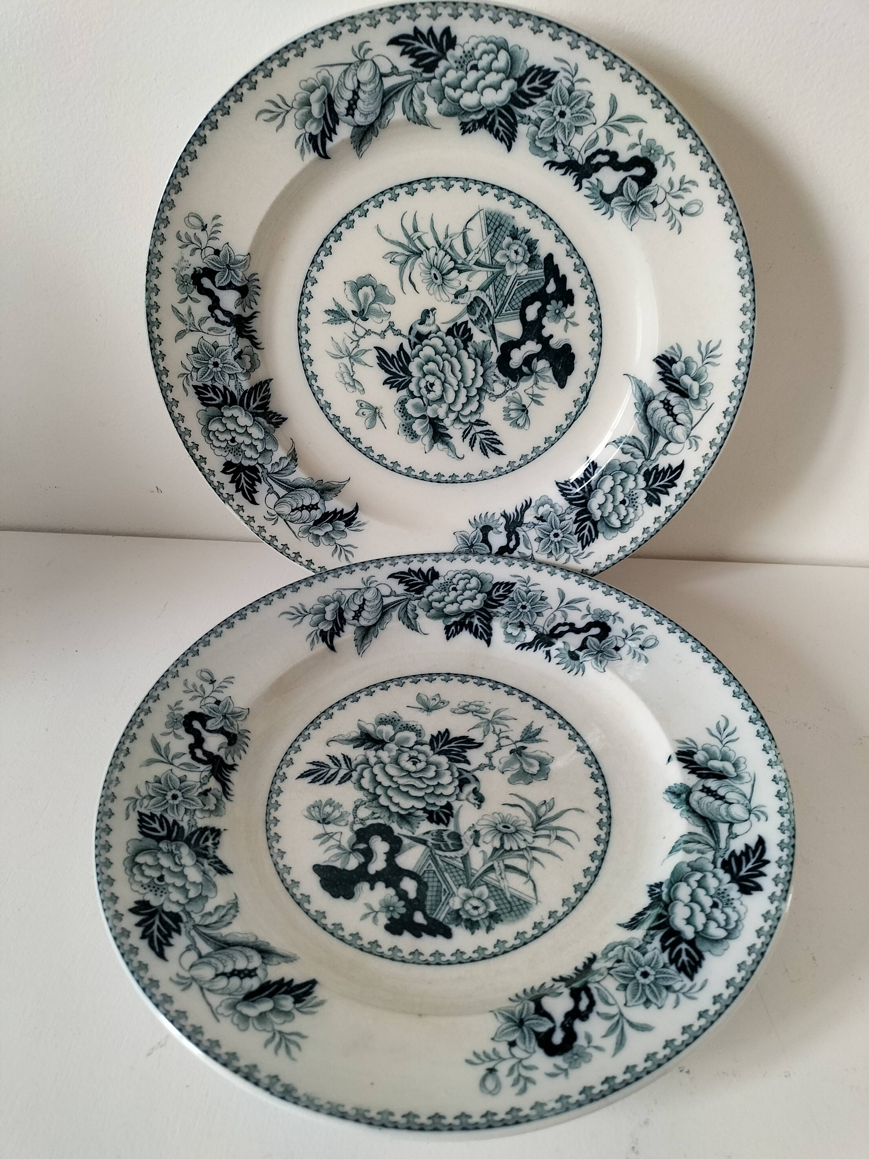 Vintage Wedgwood Bullfinch Plates