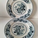 Vintage Wedgwood Bullfinch Plates