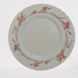 Vintage Arcopal Iris 1980 Plates