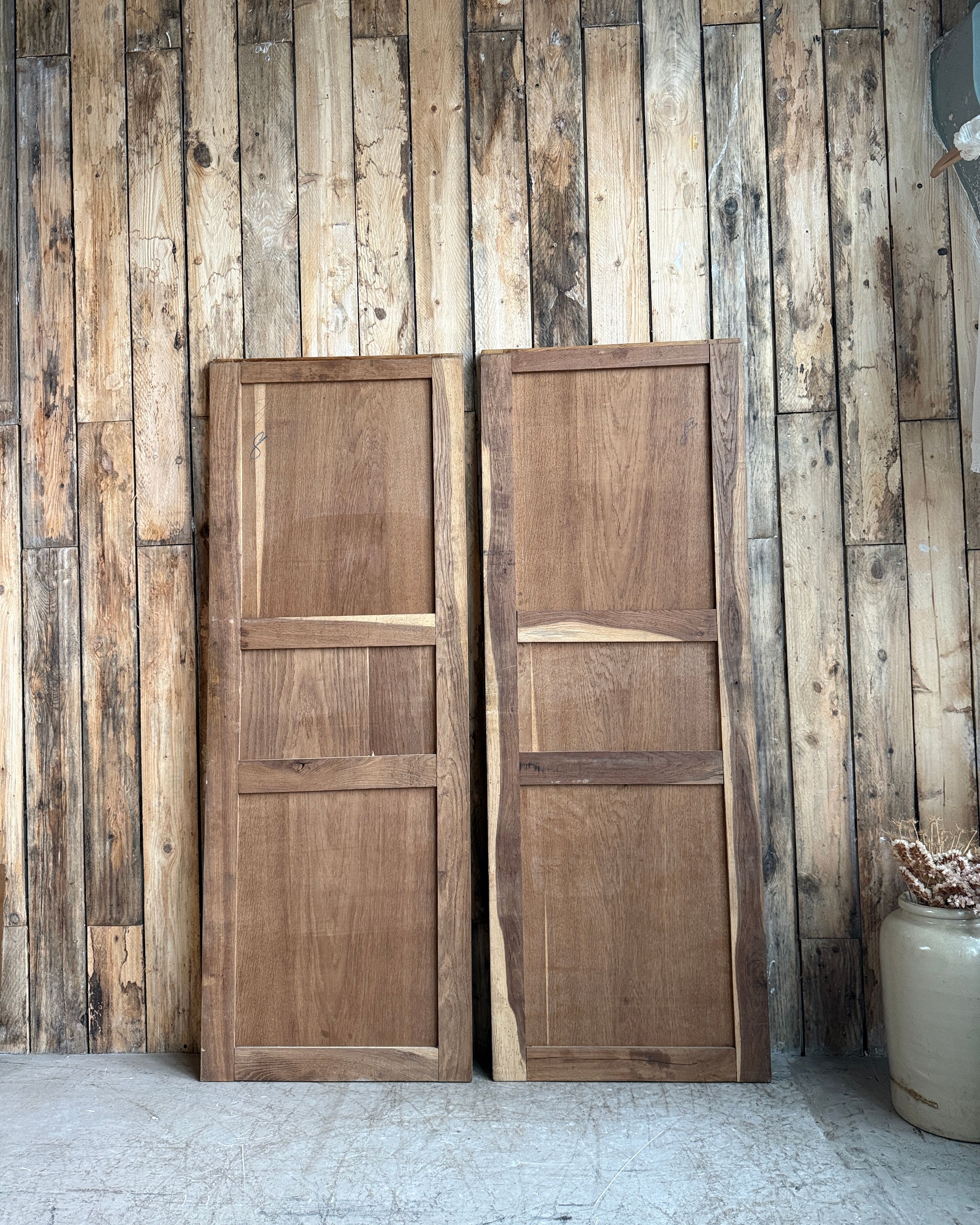 Paire de portes d’armoire