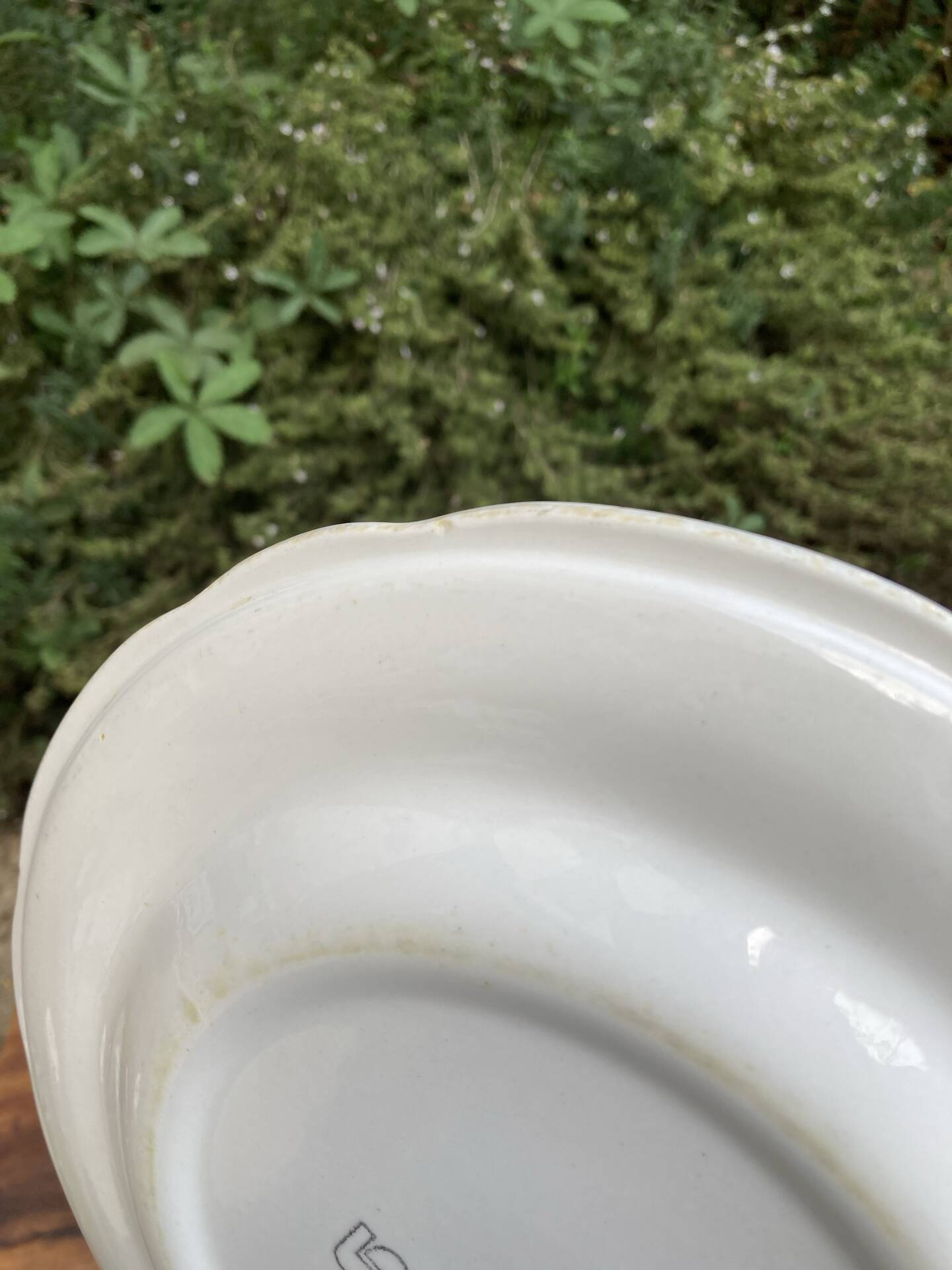 Flat plates with scalloped edges Sarreguemines bohemian chic