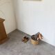 Rattan basket 1970, Italy