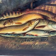 Still life with fish signed HL Rolfe