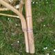 Rattan bench years 50/60