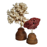 Set of two antique corals on turned wooden base, 20 cm
