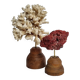 Set of two antique corals on turned wooden base, 20 cm