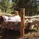 Handcrafted log pine bed originally made/ lit en pin