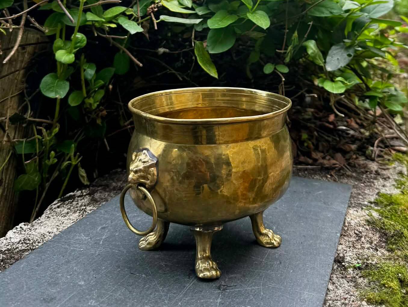 Baroque lion brass jardinière